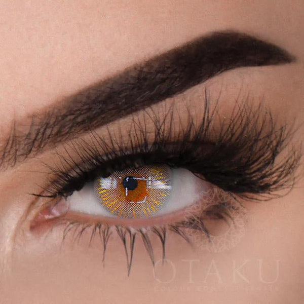 Otaku Precious Angel gold glitter contact lenses for dark eyes, featuring a pearlescent grey shade with high opacity