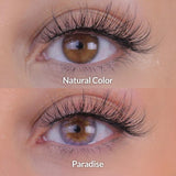 Soft rainbow violet colored contact lenses designed for dark eyes, providing a pastel and dreamy enhancement